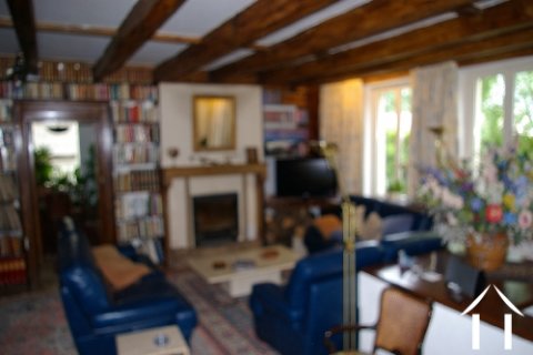 Woonkamer met houtbrander
