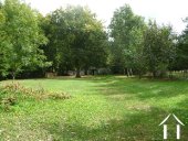 Tuin met veel bomen