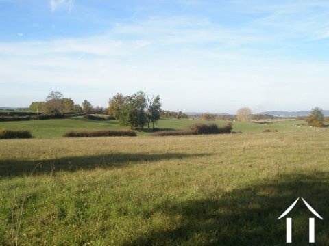 Open uitzicht