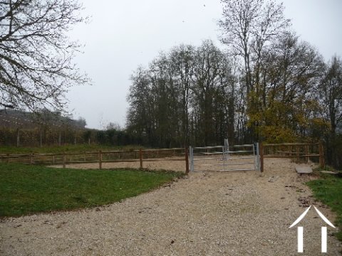 Trainingsbak voor paarden
