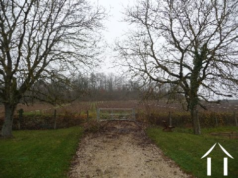Naast de wijngaarden 