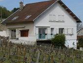 Huis midden tussen de wijngaarden