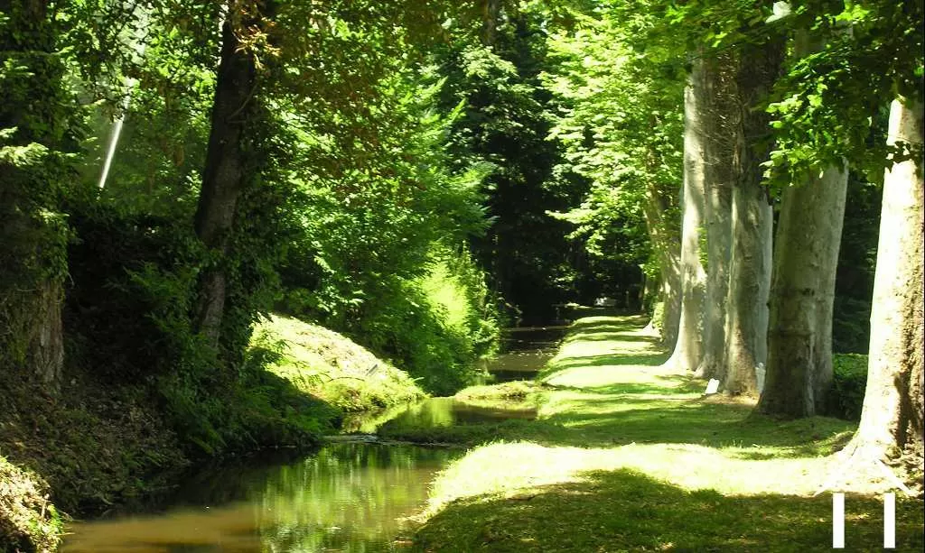 Châteaux, landhuizen te koop mazamet, zuid-frankrijk-pyreneeën, 11-2214 Afbeelding - 14