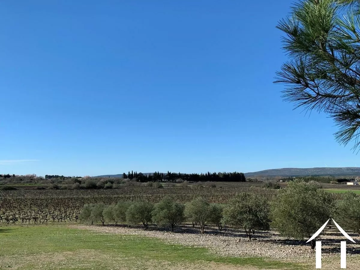 Bezit 1 hectare ++ te koop fabregues, languedoc-roussillon, 11-2407 Afbeelding - 2