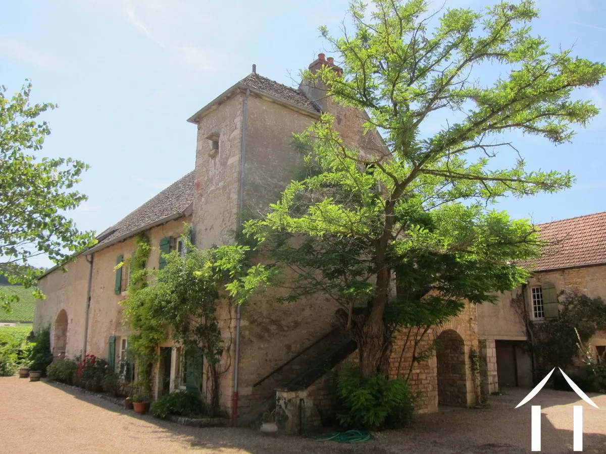 Châteaux, landhuizen te koop mercurey, bourgogne, MB1162S Afbeelding - 17