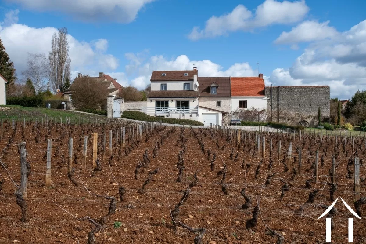 Authentiek stenen huis  te koop santenay, bourgogne, BH5154V Afbeelding - 21