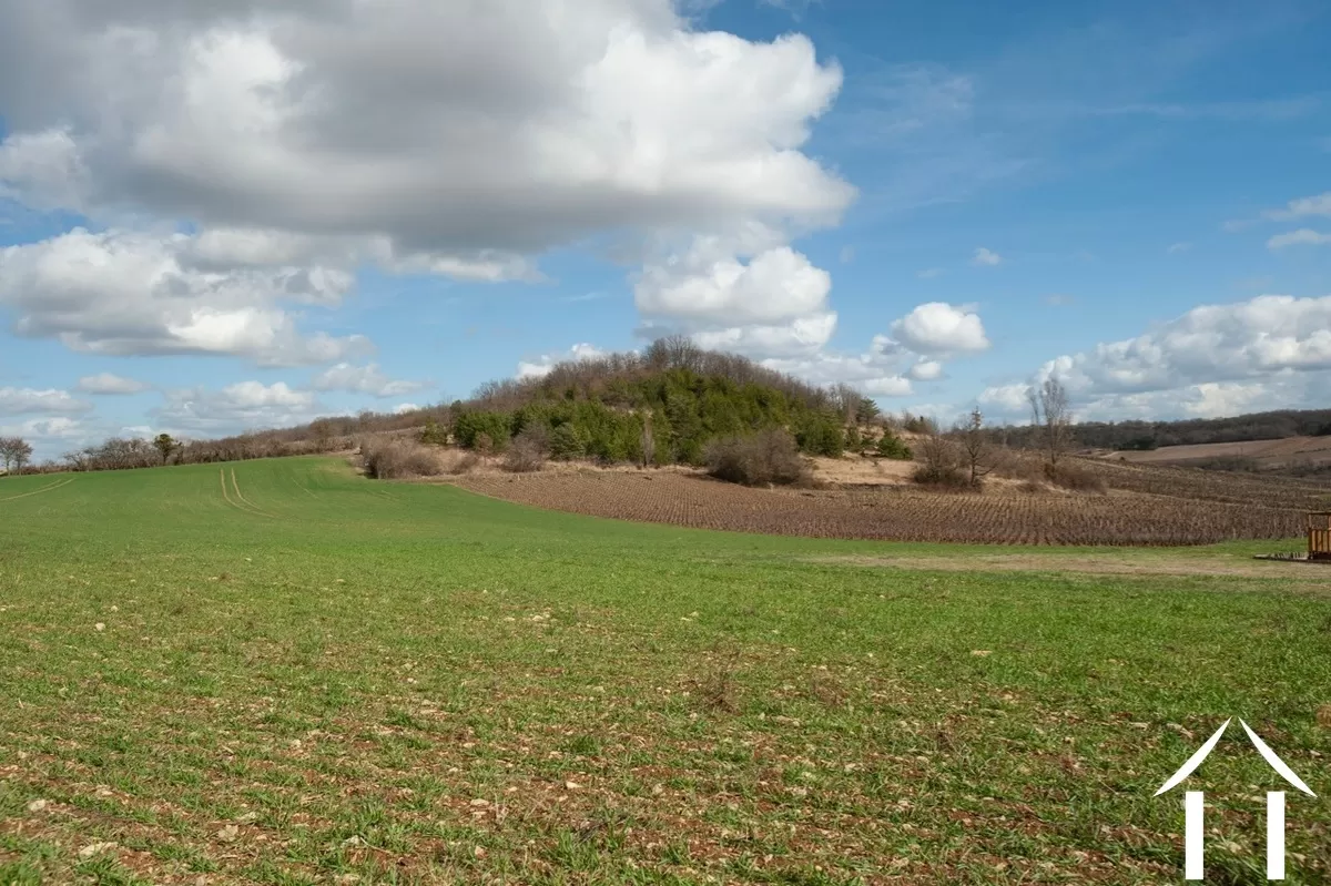 Authentiek stenen huis  te koop santenay, bourgogne, BH5154V Afbeelding - 23