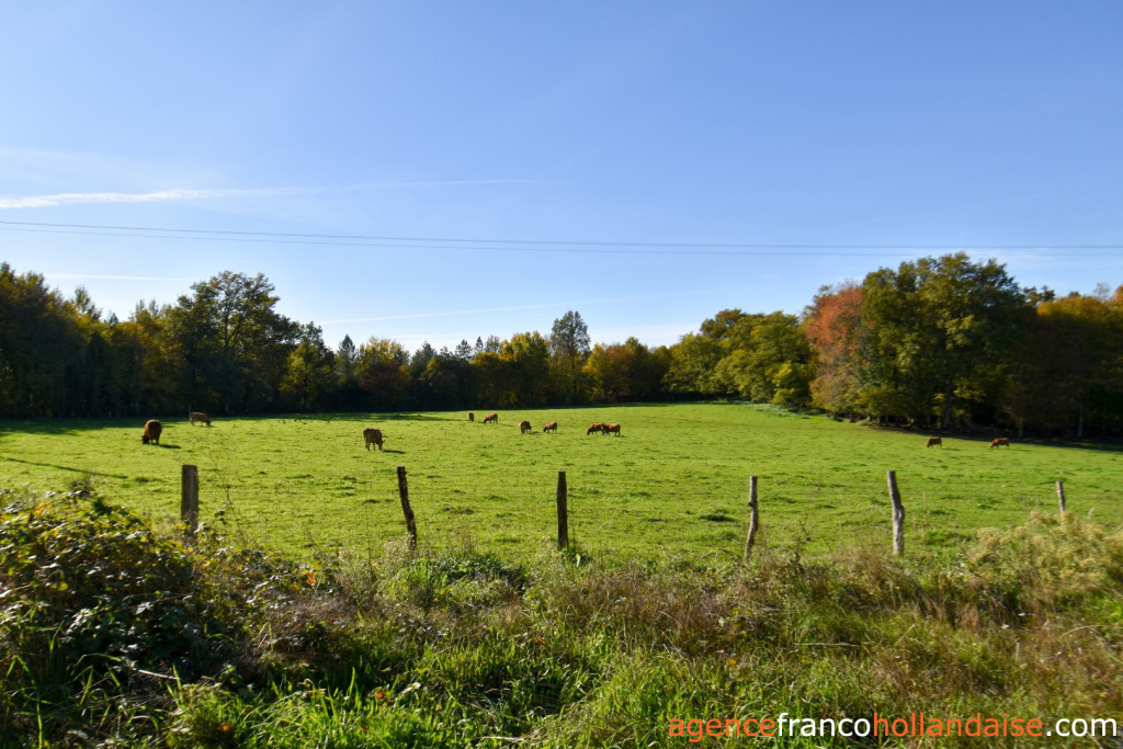 Woonhuis te koop st julien le vendomois, limousin, Li1003 Afbeelding - 64