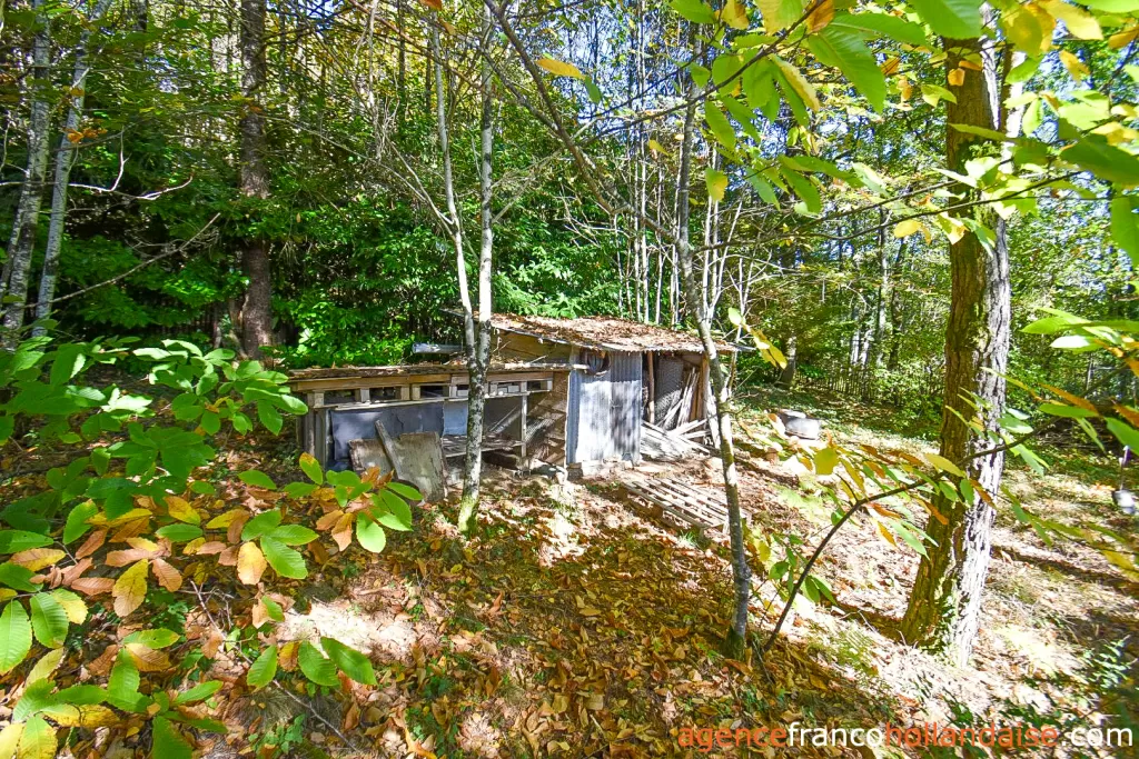 Woonhuis te koop meuzac, limousin, Li1019 Afbeelding - 41