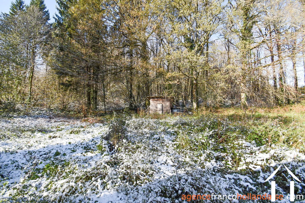 Huis met gastverblijf te koop chateauneuf la foret, limousin, Li1025 Afbeelding - 41