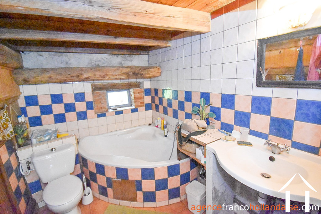 Huis met gastverblijf te koop chateauneuf la foret, limousin, Li1025 Afbeelding - 10