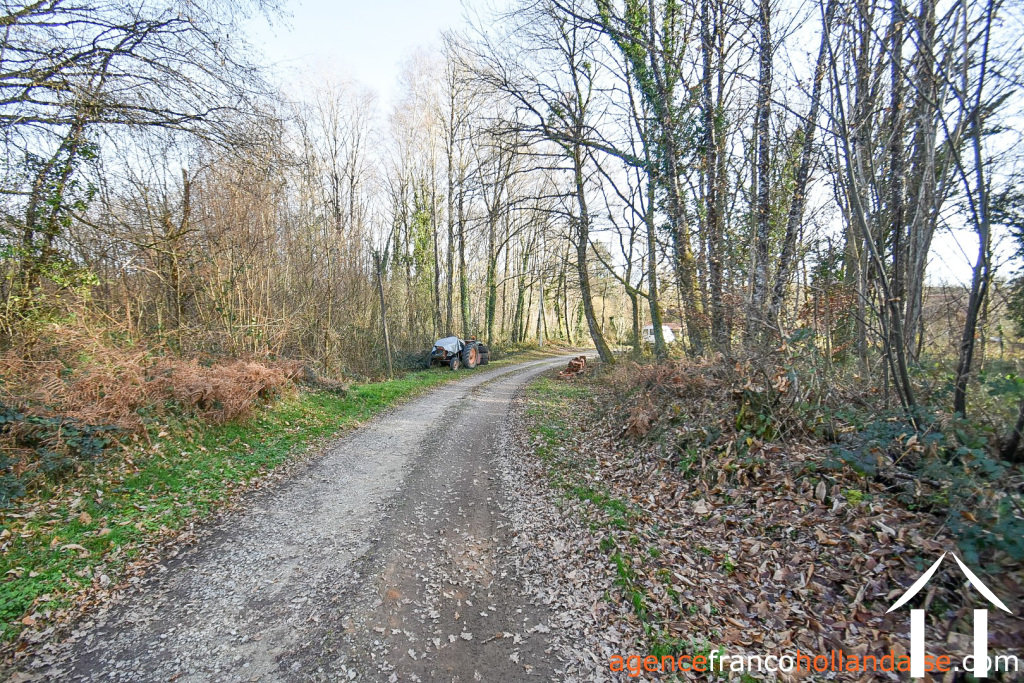 Huis met gastverblijf te koop chateauneuf la foret, limousin, Li1025 Afbeelding - 70