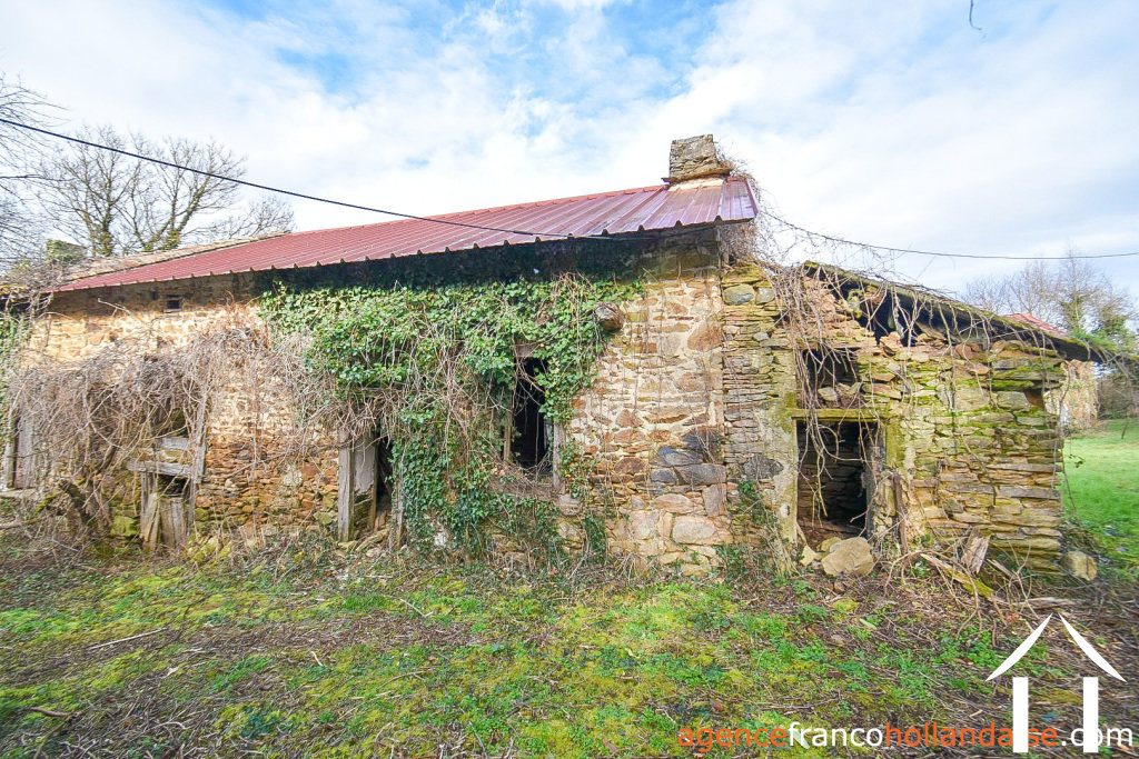 Huis met gastverblijf te koop neuvic entier, limousin, Li1027 Afbeelding - 67
