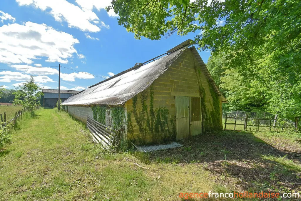 Bezit 1 hectare ++ te koop la porcherie, limousin, Li1052 Afbeelding - 23