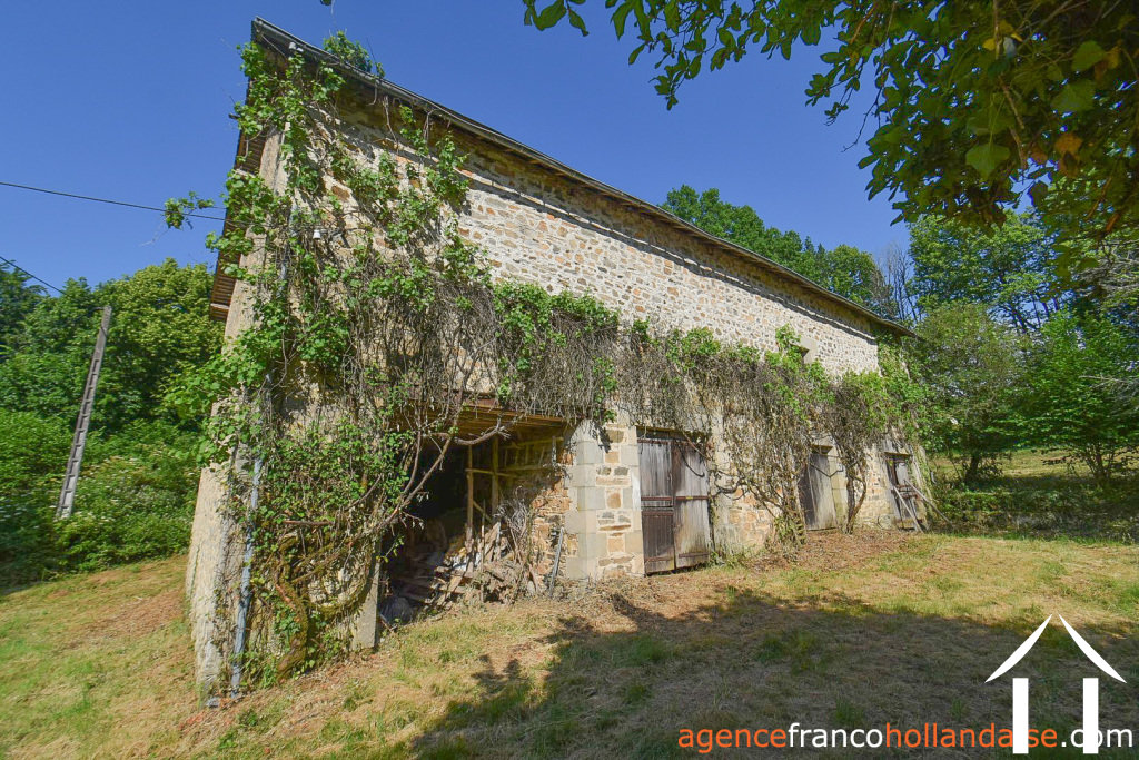 Bezit 1 hectare ++ te koop la croisille sur briance, limousin, Li1059 Afbeelding - 24