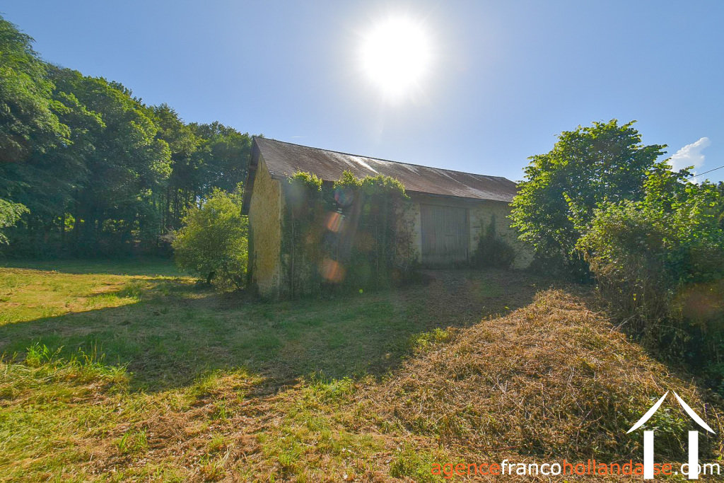 Bezit 1 hectare ++ te koop la croisille sur briance, limousin, Li1059 Afbeelding - 29