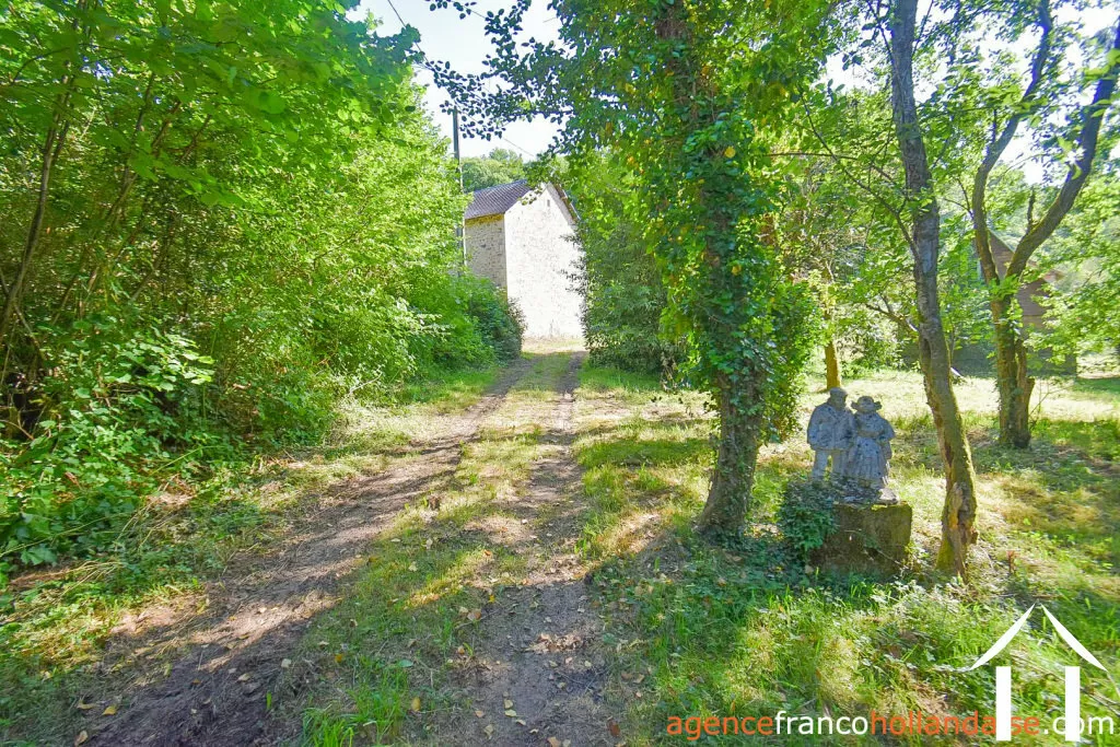 Bezit 1 hectare ++ te koop la croisille sur briance, limousin, Li1059 Afbeelding - 44