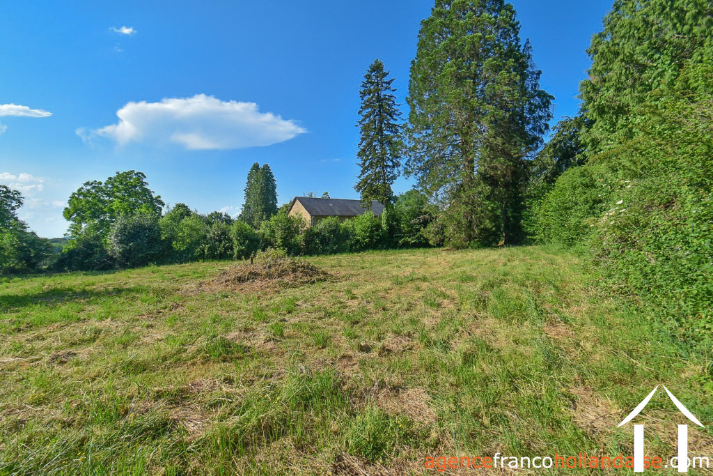 Bezit 1 hectare ++ te koop la croisille sur briance, limousin, Li1059 Afbeelding - 43