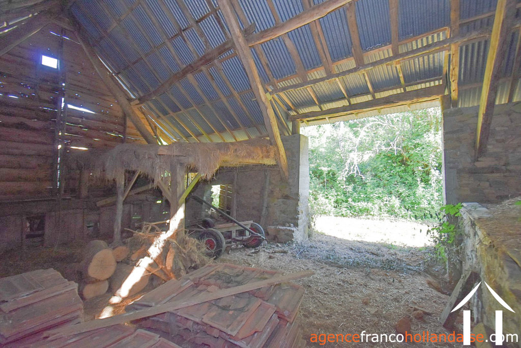Bezit 1 hectare ++ te koop la croisille sur briance, limousin, Li1059 Afbeelding - 33