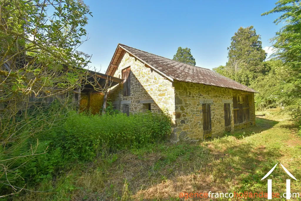 Bezit 1 hectare ++ te koop la croisille sur briance, limousin, Li1059 Afbeelding - 42