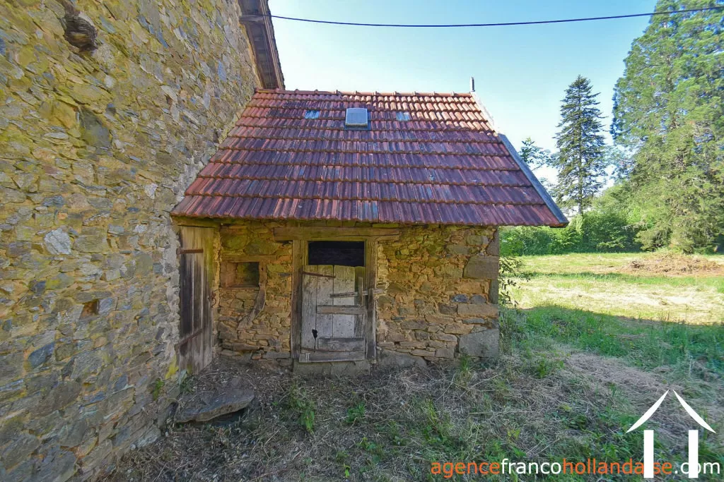 Bezit 1 hectare ++ te koop la croisille sur briance, limousin, Li1059 Afbeelding - 38