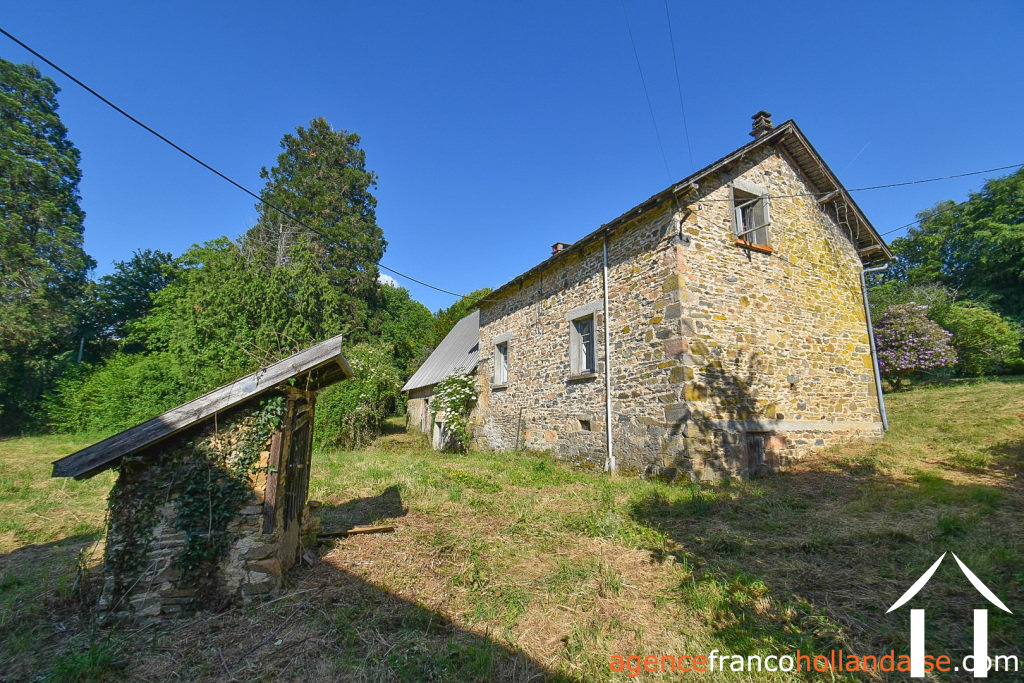 Bezit 1 hectare ++ te koop la croisille sur briance, limousin, Li1059 Afbeelding - 30