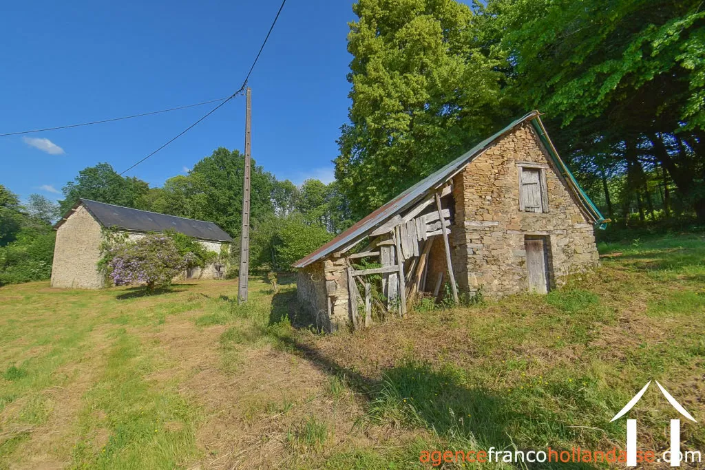 Bezit 1 hectare ++ te koop la croisille sur briance, limousin, Li1059 Afbeelding - 40