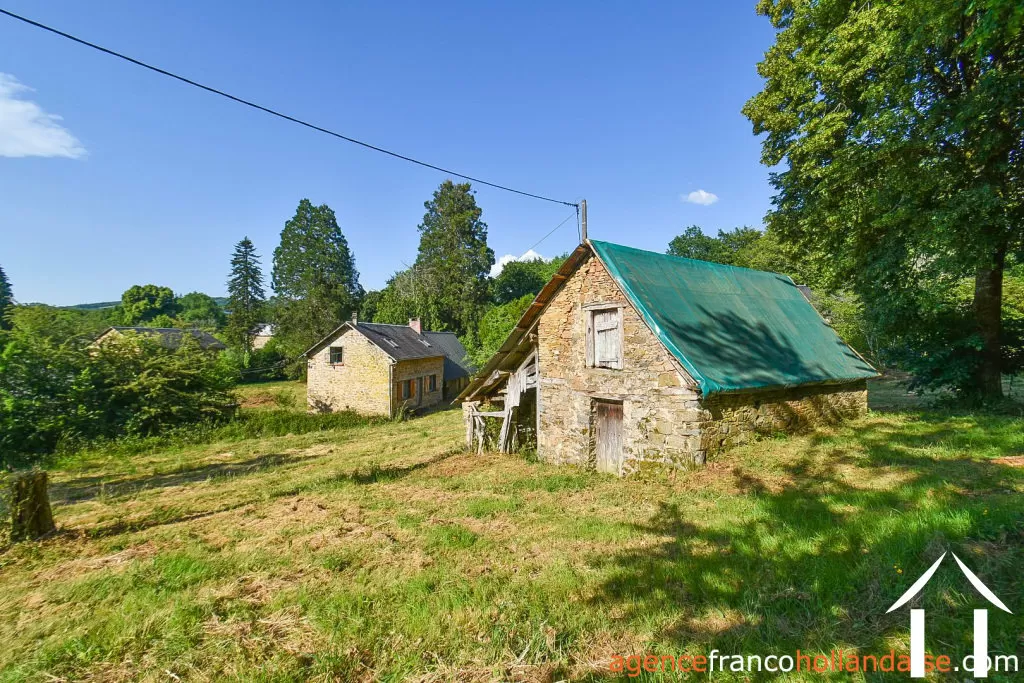 Bezit 1 hectare ++ te koop la croisille sur briance, limousin, Li1059 Afbeelding - 41