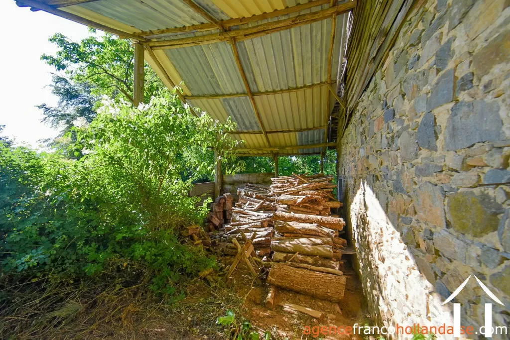 Bezit 1 hectare ++ te koop la croisille sur briance, limousin, Li1059 Afbeelding - 36