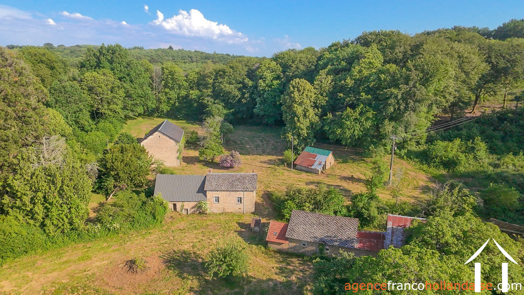 Bezit 1 hectare ++ te koop la croisille sur briance, limousin, Li1059 Afbeelding - 1