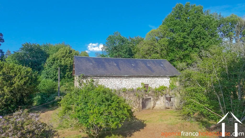 Bezit 1 hectare ++ te koop la croisille sur briance, limousin, Li1059 Afbeelding - 27
