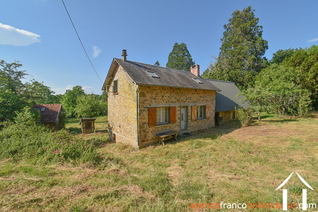 Bezit 1 hectare ++ te koop la croisille sur briance, limousin, Li1059 Afbeelding - 3
