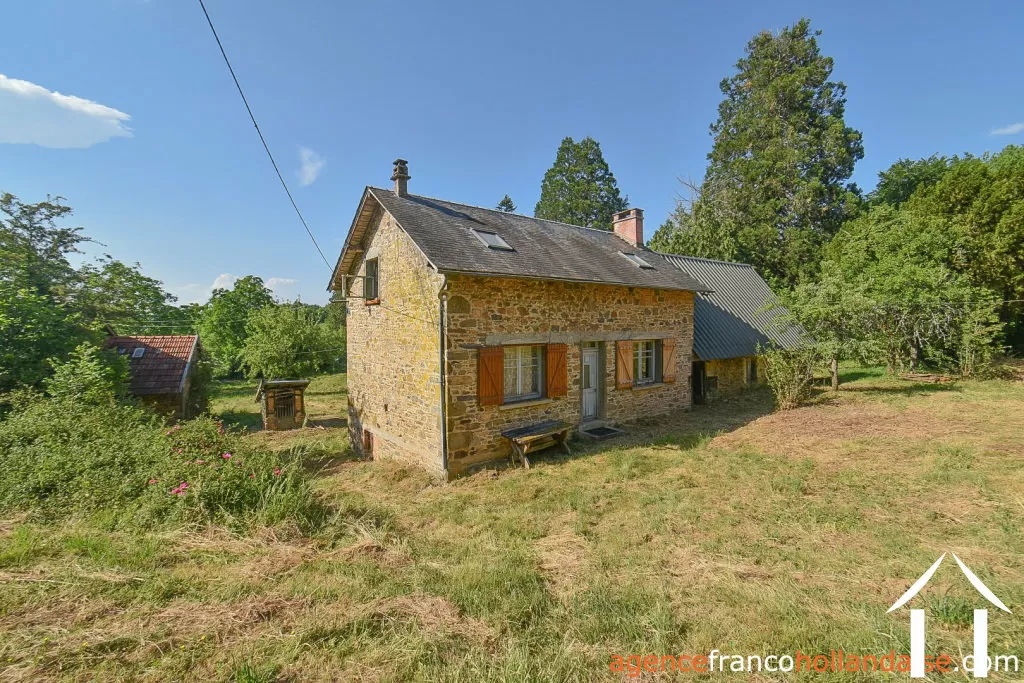 Bezit 1 hectare ++ te koop la croisille sur briance, limousin, Li1059 Afbeelding - 3