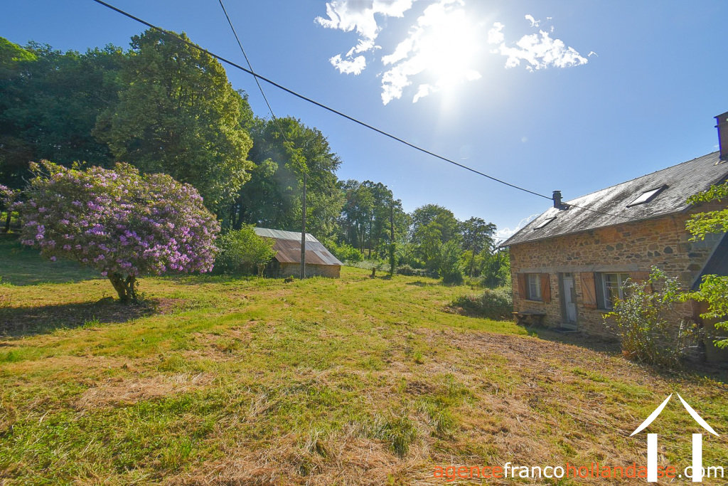 Bezit 1 hectare ++ te koop la croisille sur briance, limousin, Li1059 Afbeelding - 31