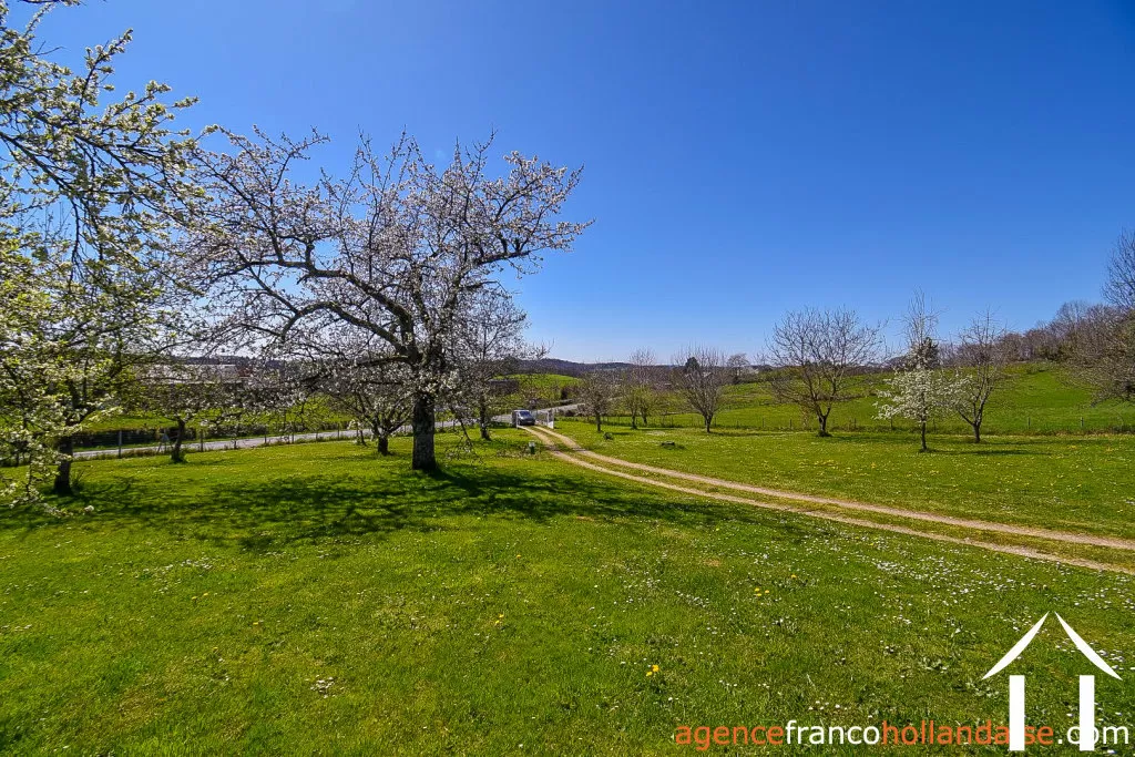 Bezit 1 hectare ++ te koop la croisille sur briance, limousin, Li1061 Afbeelding - 47