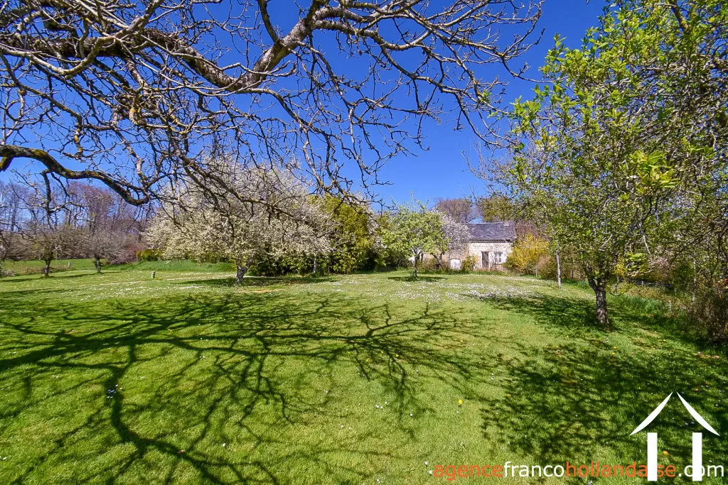 Bezit 1 hectare ++ te koop la croisille sur briance, limousin, Li1061 Afbeelding - 37