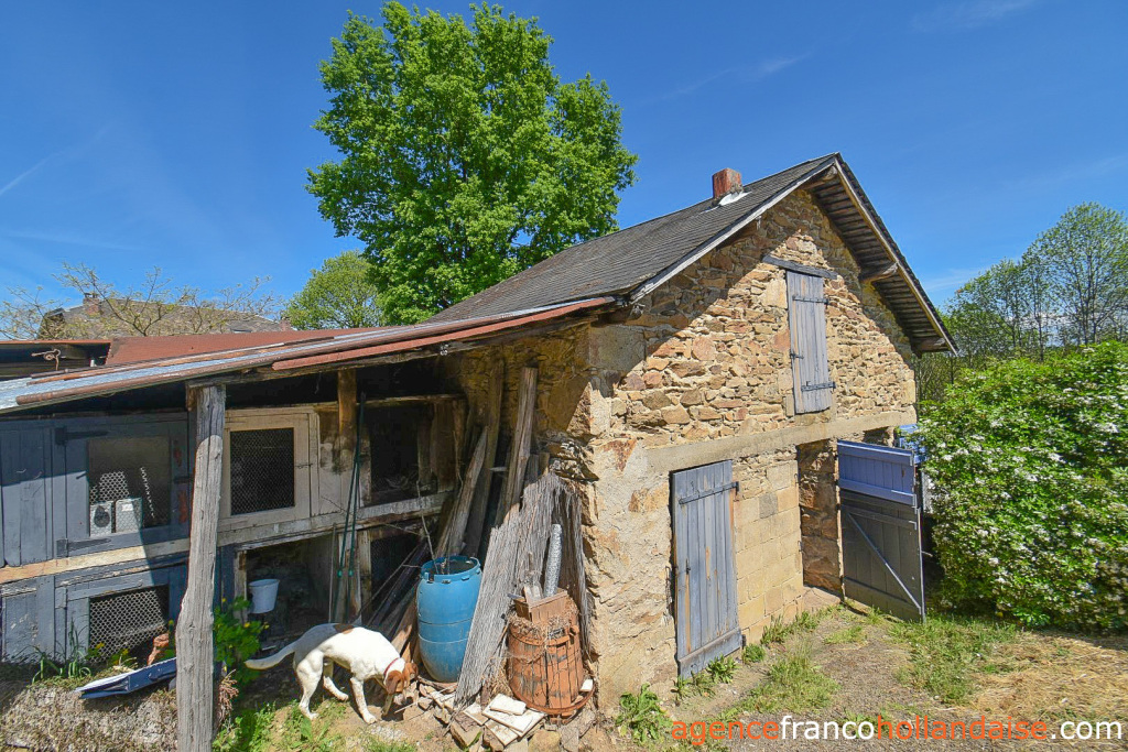 Bezit 1 hectare ++ te koop chateauneuf la foret, limousin, Li1062 Afbeelding - 23