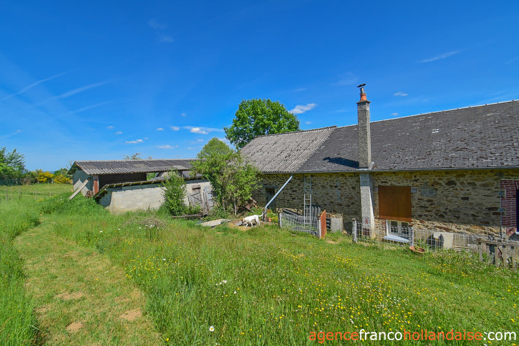 Bezit 1 hectare ++ te koop chateauneuf la foret, limousin, Li1062 Afbeelding - 45