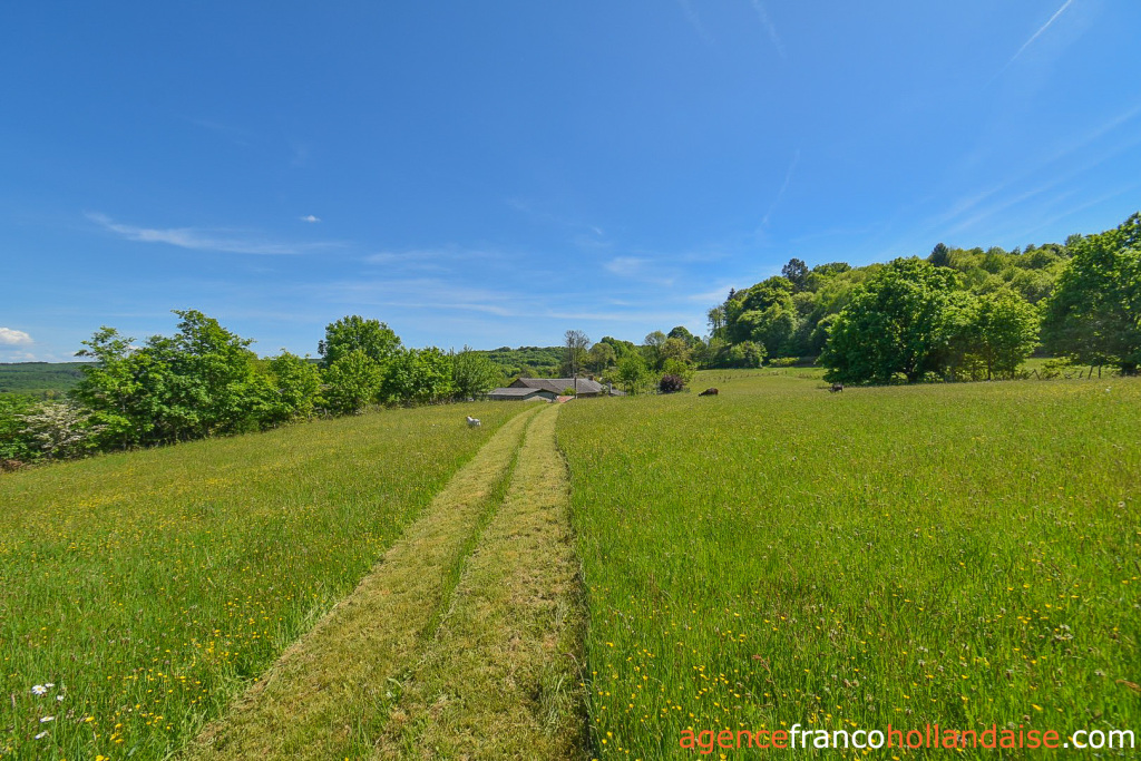 Bezit 1 hectare ++ te koop chateauneuf la foret, limousin, Li1062 Afbeelding - 57