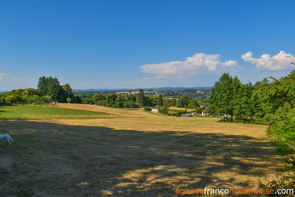 Bezit 1 hectare ++ te koop chateauneuf la foret, limousin, Li1062 Afbeelding - 59
