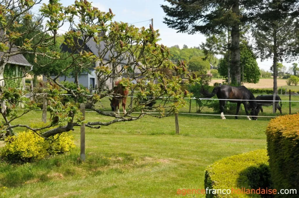 Woonhuis te koop landelles et coupigny, basse-normandie, Li1066 Afbeelding - 26