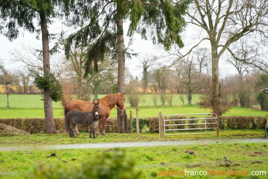Woonhuis te koop landelles et coupigny, basse-normandie, Li1066 Afbeelding - 33