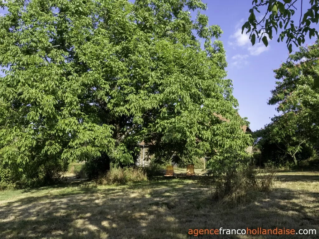 Huis met gastverblijf te koop lubersac, limousin, Li1070 Afbeelding - 38