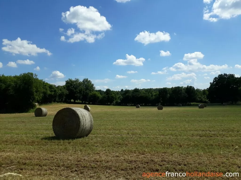 Huis met gastverblijf te koop lubersac, limousin, Li1070 Afbeelding - 39