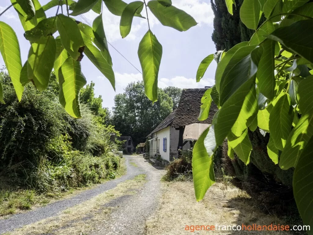 Huis met gastverblijf te koop lubersac, limousin, Li1070 Afbeelding - 2