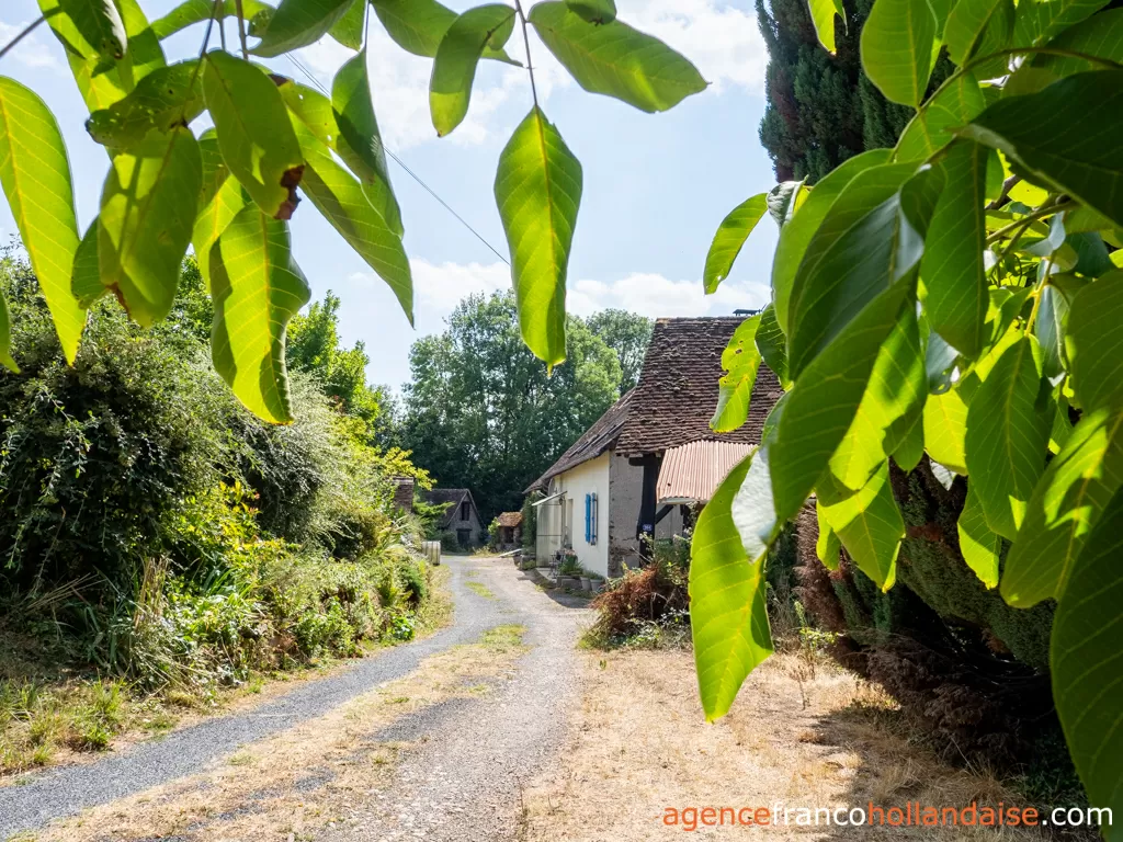 Huis met gastverblijf te koop lubersac, limousin, Li1070 Afbeelding - 3