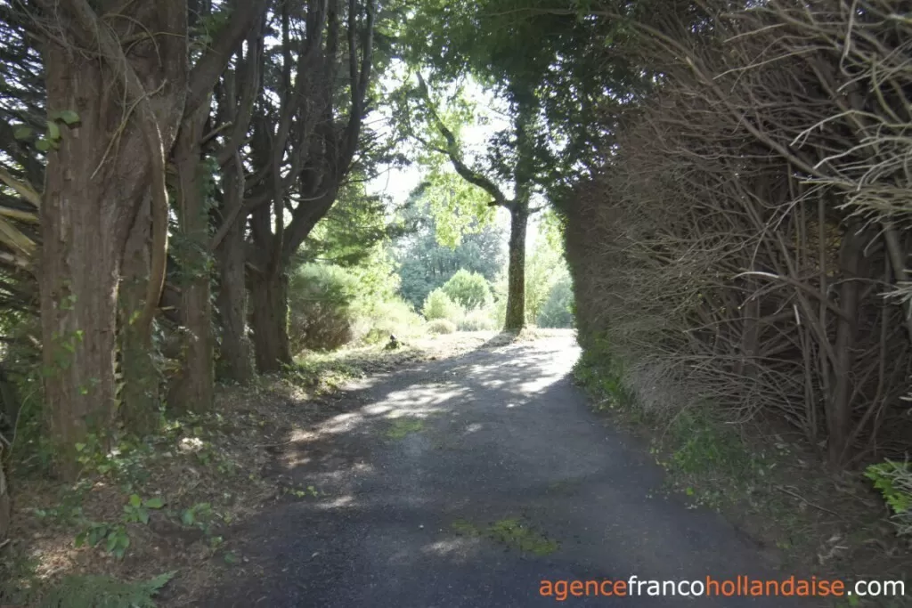 Woonhuis te koop meilhards, limousin, Li1071 Afbeelding - 29