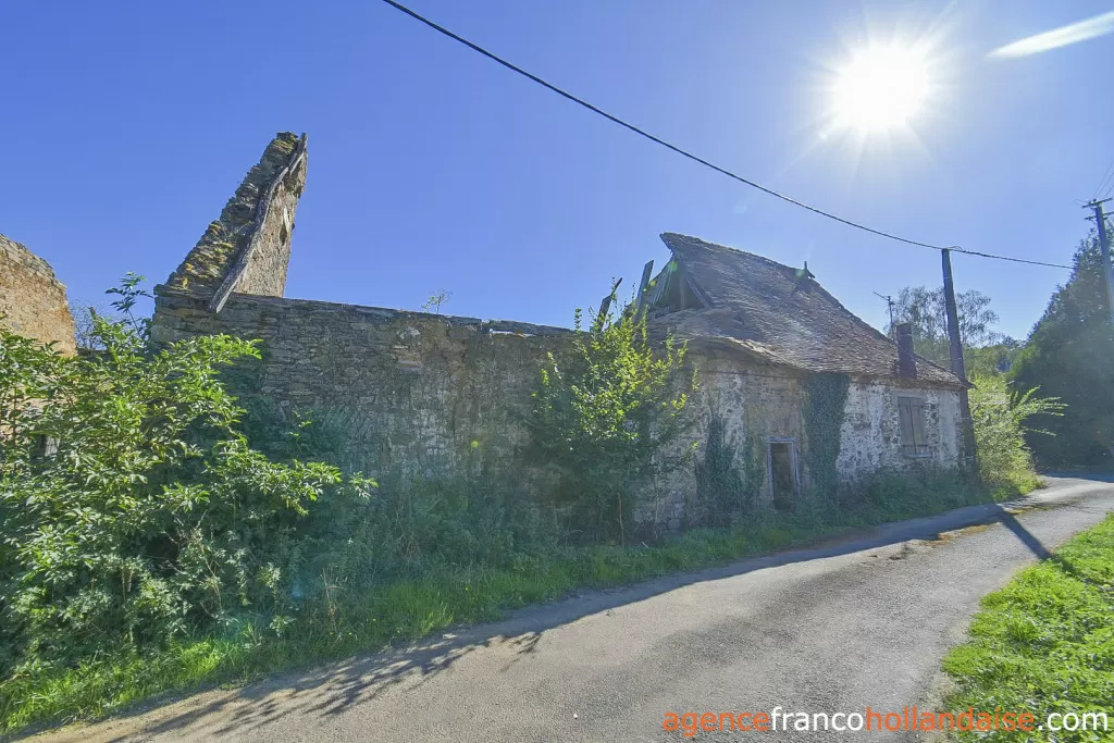 Huis met gastverblijf te koop st germain les belles, limousin, Li1075 Afbeelding - 41