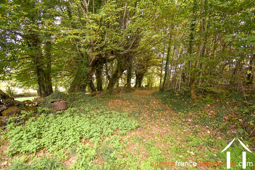 Woonhuis te koop st germain les belles, limousin, Li792 Afbeelding - 45