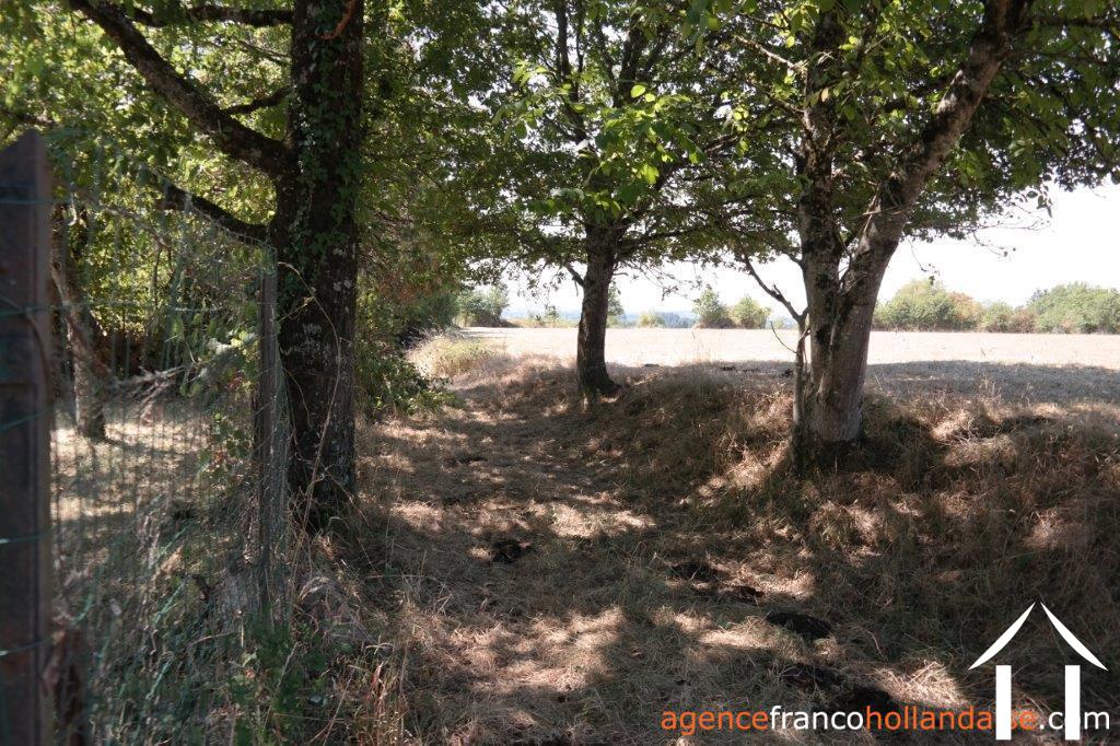 Bebouwbare grond te koop le lonzac, limousin, Li810 Afbeelding - 14
